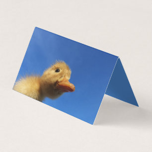 Carte De Visite canard drôle en carton bleu