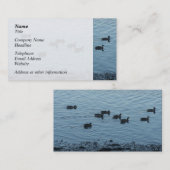 Carte De Visite Canards (Devant / Derrière)