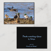 Carte De Visite Canards observant les oies ATC (Devant / Derrière)