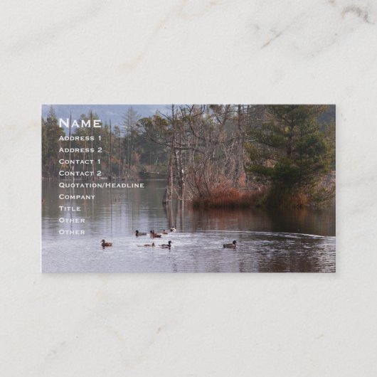 Carte De Visite Canards sur le lac empire (Devant)