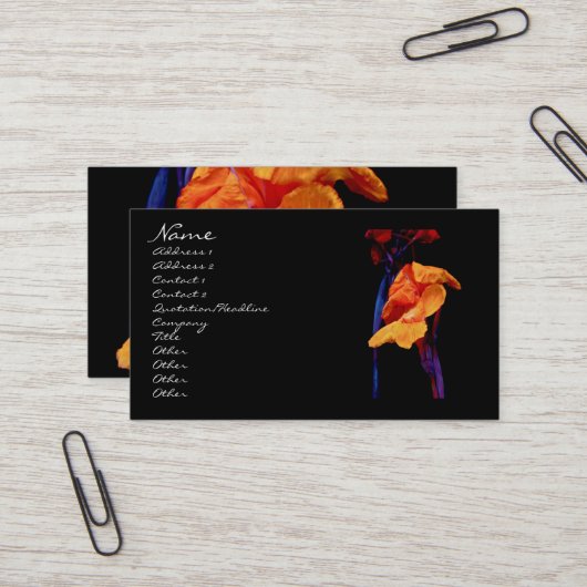 Carte De Visite Canna Lys sur noir avec bleu (Devant/Arrière en situation)