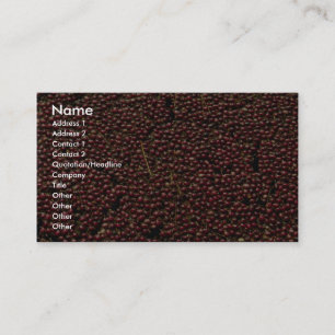 Carte De Visite Canneberges à la récolte, Plymouth,