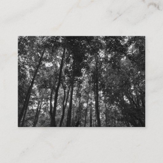 Carte De Visite Canopée de bois 02 BW (Devant)
