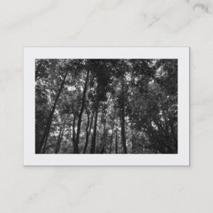 Carte De Visite Canopée de forêt 02 NB (Bordé)