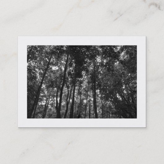 Carte De Visite Canopée de forêt 02 NB (Bordé) (Devant)