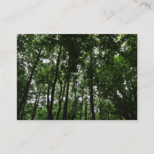 Carte De Visite Canopée forestière 02 (Devant)