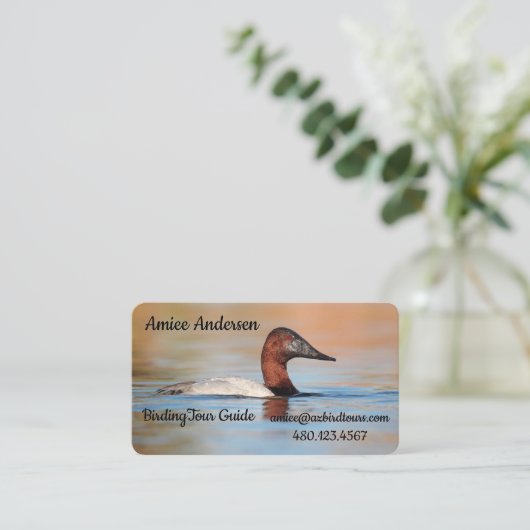 Carte De Visite Canvasback canard (Debout devant)