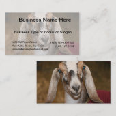 Carte De Visite Caprin blanc de rayure de daine de chèvre de (Devant / Derrière)