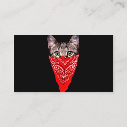 Carte De Visite Capuchon de chat (Dos)