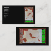 CARTE DE VISITE CARAMEL INDICA (Devant / Derrière)