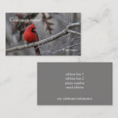 Carte De Visite Cardinal (Devant / Derrière)