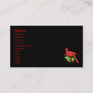Carte De Visite Cardinal