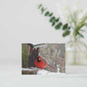 Carte De Visite Cardinal à l'ATC de la source (Debout devant)