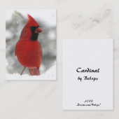 Carte De Visite Cardinal ATC (Devant / Derrière)
