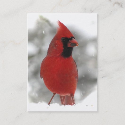 Carte De Visite Cardinal ATC (Devant)