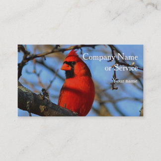 Carte De Visite Cardinal du nord