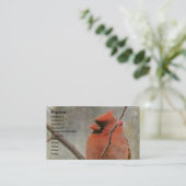 Carte De Visite Cardinal Grunge (Debout devant)