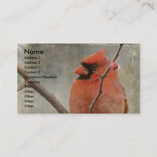 Carte De Visite Cardinal Grunge (Devant)