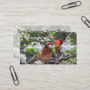 Carte De Visite Cardinal masculin au printemps