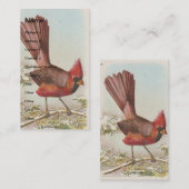 Carte De Visite Cardinal vintage (Devant / Derrière)