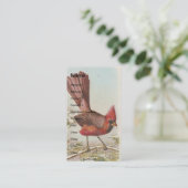 Carte De Visite Cardinal vintage (Debout devant)