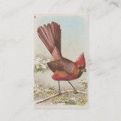 Carte De Visite Cardinal vintage (Dos)
