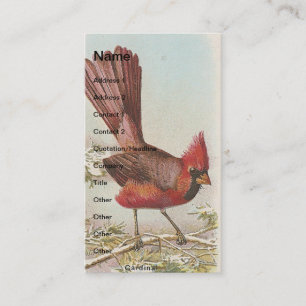 Carte De Visite Cardinal vintage