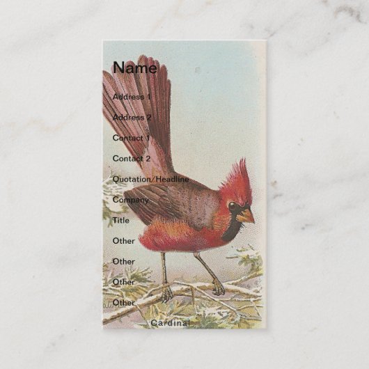 Carte De Visite Cardinal vintage (Devant)