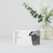 Carte de visite carlin (Debout devant)