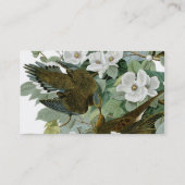 Carte De Visite Carolina Pigeon Audubon Morning Dove (Dos)