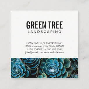 Carte De Visite Carré Architecture paysagère   Service de jardinage