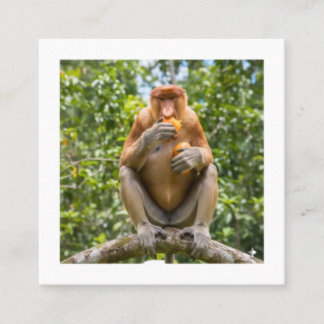 Carte De Visite Carré Autocollant de faune de Bornéo à motif de singe pr