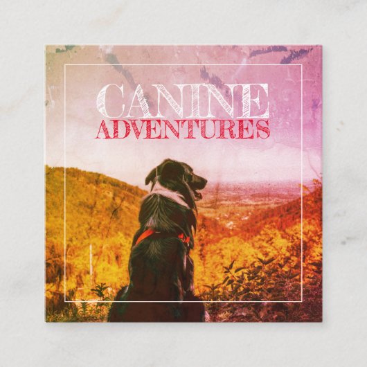 Carte De Visite Carré Aventures De Chien Et De Chien Feu Texté (Devant)