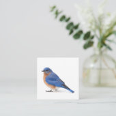 Carte De Visite Carré Bluebird (Debout devant)