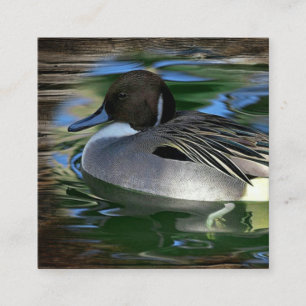 Carte De Visite Carré Canard Sur Le Lac
