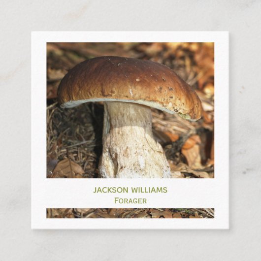 Carte De Visite Carré Champignons sauvages Forager de nourriture sauvage (Devant)