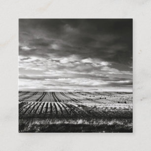 Carte De Visite Carré champs agricoles
