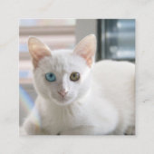 CARTE DE VISITE CARRÉ CHAT DE LA CUISINE (Devant)