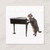 Carte De Visite Carré Chat Jouer Piano (Devant)