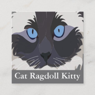 Carte De Visite Carré Chat Ragdoll Yeux Bleus