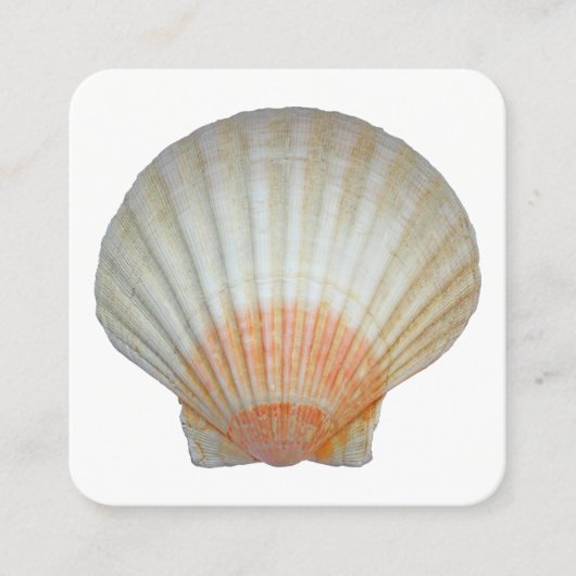Carte De Visite Carré Clam Shell (Devant)