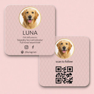 Carte De Visite Carré Code QR Chien Animal de compagnie Réseaux Sociaux