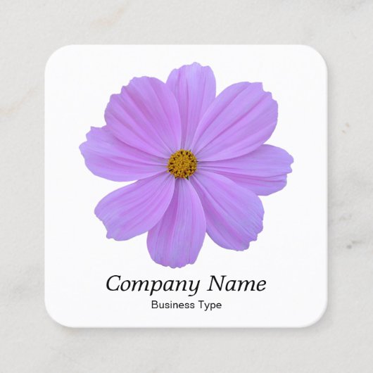 Carte De Visite Carré Cosmos Pourpre - Blanc (Devant)