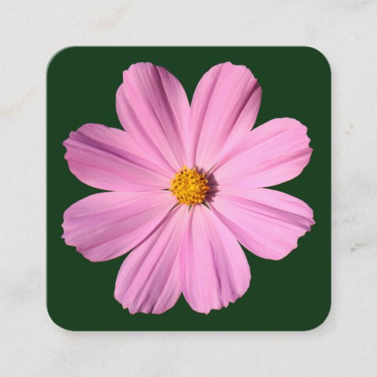 Carte De Visite Carré Cosmos rose - Vert foncé (Devant)