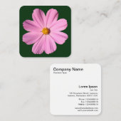 Carte De Visite Carré Cosmos rose - Vert foncé (Devant / Derrière)