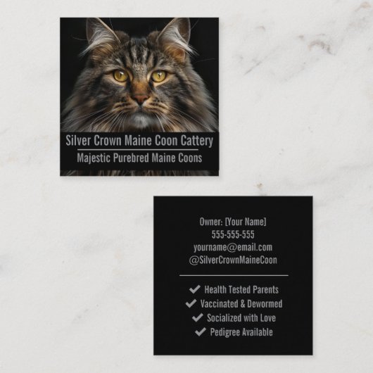 Carte De Visite Carré Custom Maine Coon Cattery Business Card  (Devant / Derrière)