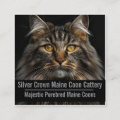 Carte De Visite Carré Custom Maine Coon Cattery Business Card  (Devant)