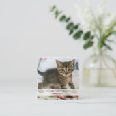 Carte De Visite Carré Cute Tabby Kitten À L'Air Surpris (Debout devant)