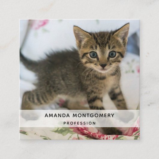 Carte De Visite Carré Cute Tabby Kitten À L'Air Surpris (Devant)