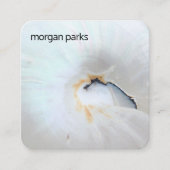 Carte De Visite Carré Élégant Nautilus Shell Tropical (Devant)